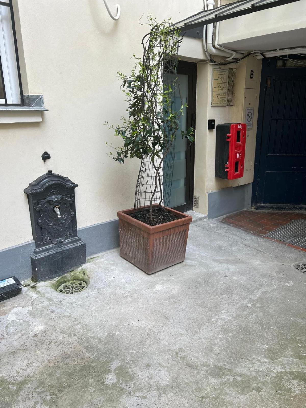 Joli Studio Rue De Nazareth 巴黎 外观 照片